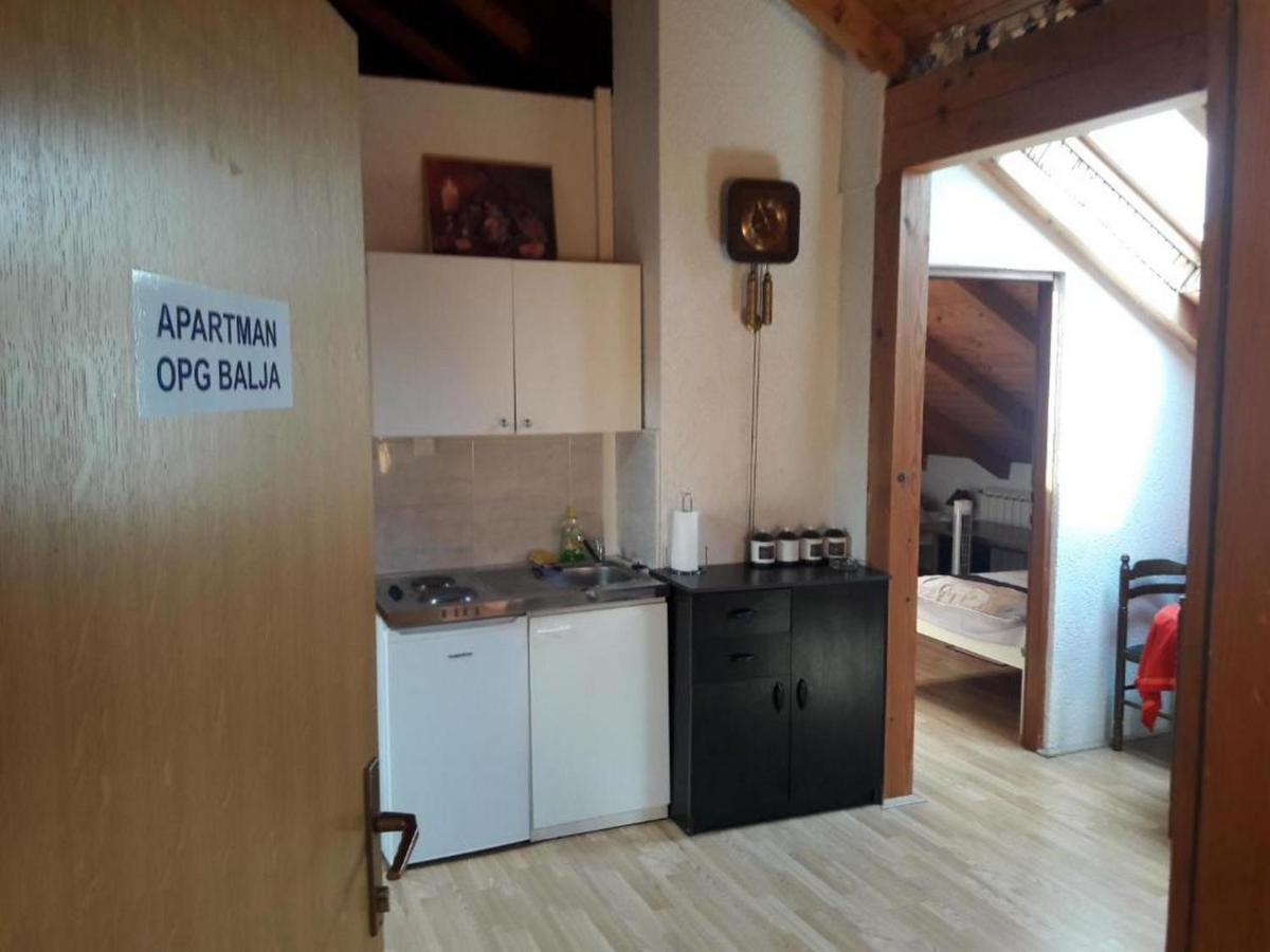 Apartman Opg Balja Garesnica Екстер'єр фото